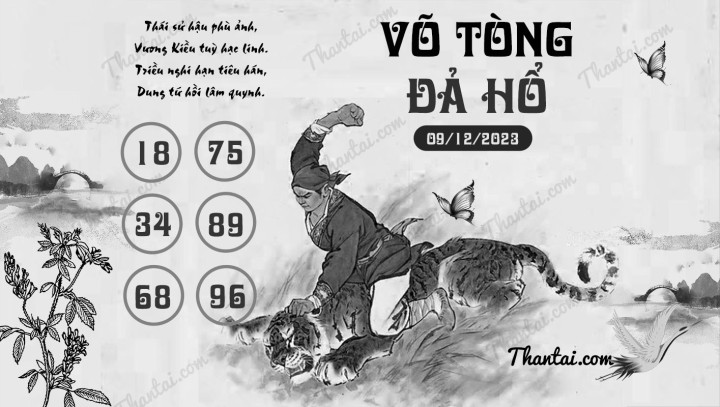 VÕ TÒNG ĐẢ HỔ 24/11/2023