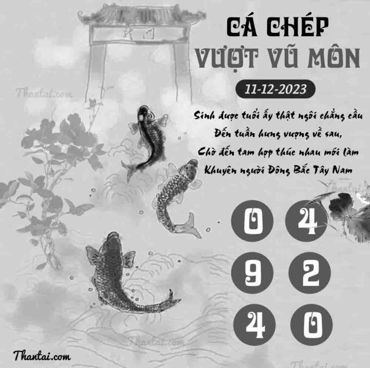 CÁ CHÉP VƯỢT VŨ MÔN 26/11/2023