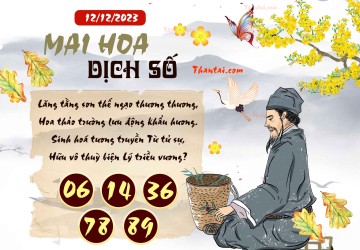 Mai Hoa Dịch Số 12/12/2023