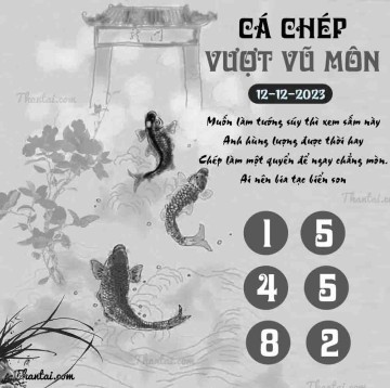 CÁ CHÉP VƯỢT VŨ MÔN 12/12/2023