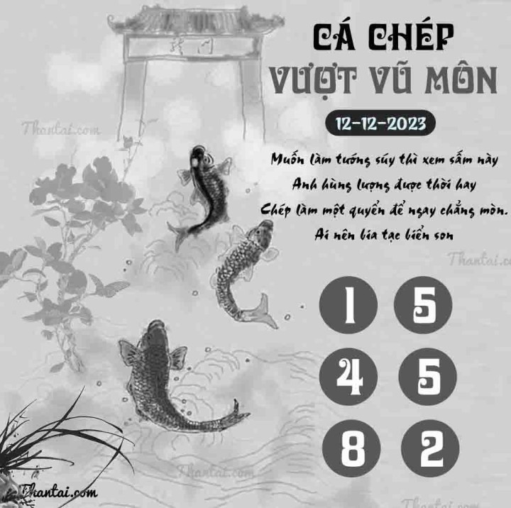 CÁ CHÉP VƯỢT VŨ MÔN 27/11/2023