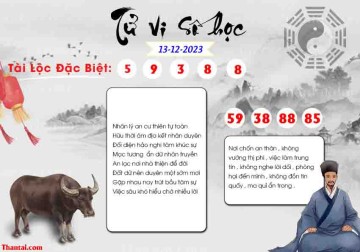 TỬ VI SỐ HỌC 13/12/2023