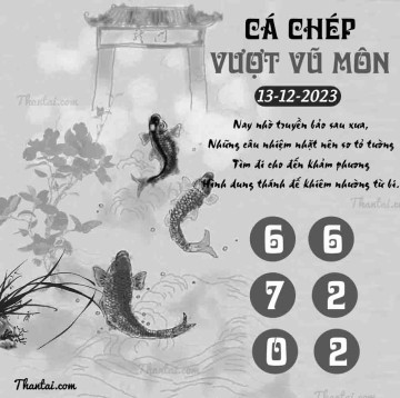 CÁ CHÉP VƯỢT VŨ MÔN 13/12/2023