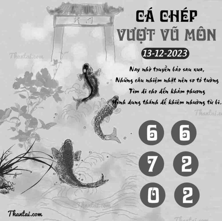 CÁ CHÉP VƯỢT VŨ MÔN 28/11/2023