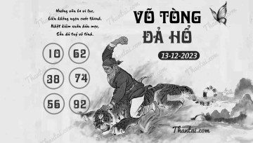 VÕ TÒNG ĐẢ HỔ 13/12/2023