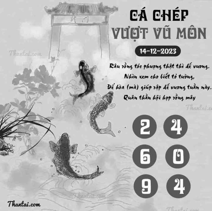 CÁ CHÉP VƯỢT VŨ MÔN 29/11/2023