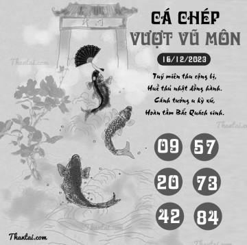 CÁ CHÉP VƯỢT VŨ MÔN 16/12/2023