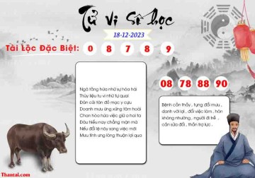 TỬ VI SỐ HỌC 18/12/2023