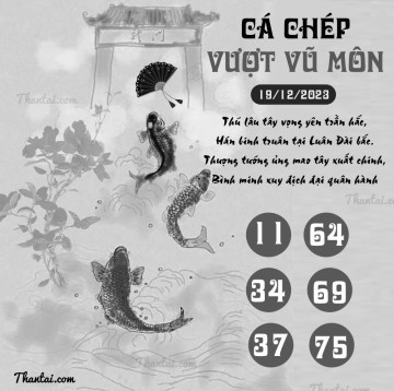 CÁ CHÉP VƯỢT VŨ MÔN 19/12/2023