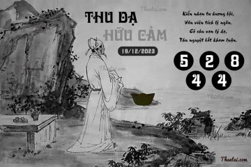 THU DẠ HỮU CẢM 19/12/2023