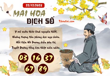 Mai Hoa Dịch Số 22/12/2023