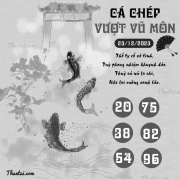 CÁ CHÉP VƯỢT VŨ MÔN 23/12/2023