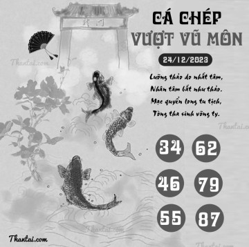 CÁ CHÉP VƯỢT VŨ MÔN 24/12/2023