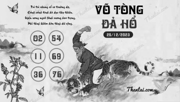 VÕ TÒNG ĐẢ HỔ 25/12/2023