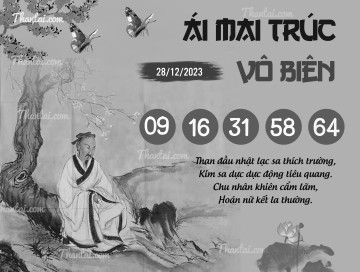 ÁI MAI TRÚC VÔ BIÊN 28/12/2023