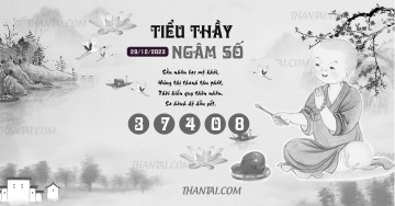 TIỂU THẦY NGÂM SỐ 28/12/2023