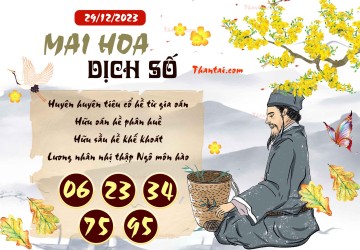 Mai Hoa Dịch Số 29/12/2023