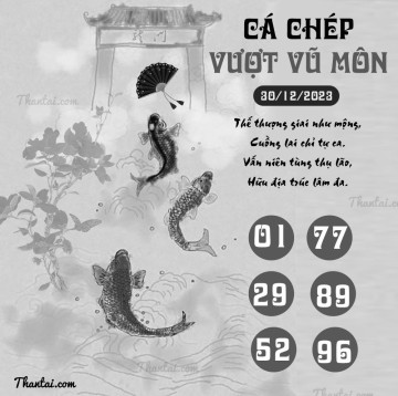 CÁ CHÉP VƯỢT VŨ MÔN 30/12/2023