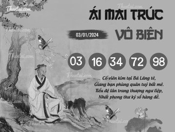 ÁI MAI TRÚC VÔ BIÊN 03/01/2024