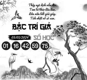 BẬC TRÍ GIẢ SỐ HỌC 03/01/2024