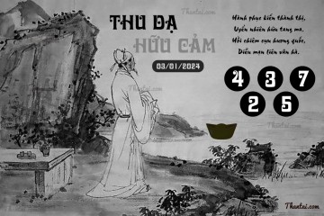 THU DẠ HỮU CẢM 03/01/2024