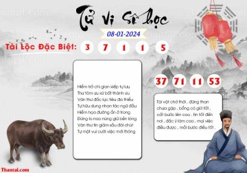 TỬ VI SỐ HỌC 08/01/2024