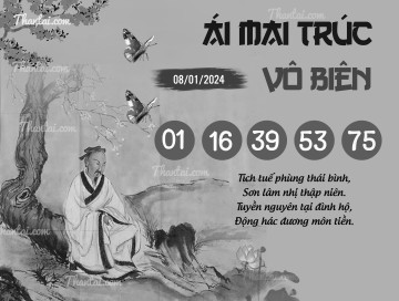 ÁI MAI TRÚC VÔ BIÊN 08/01/2024