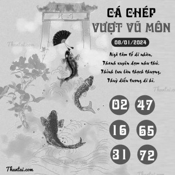 CÁ CHÉP VƯỢT VŨ MÔN 08/01/2024