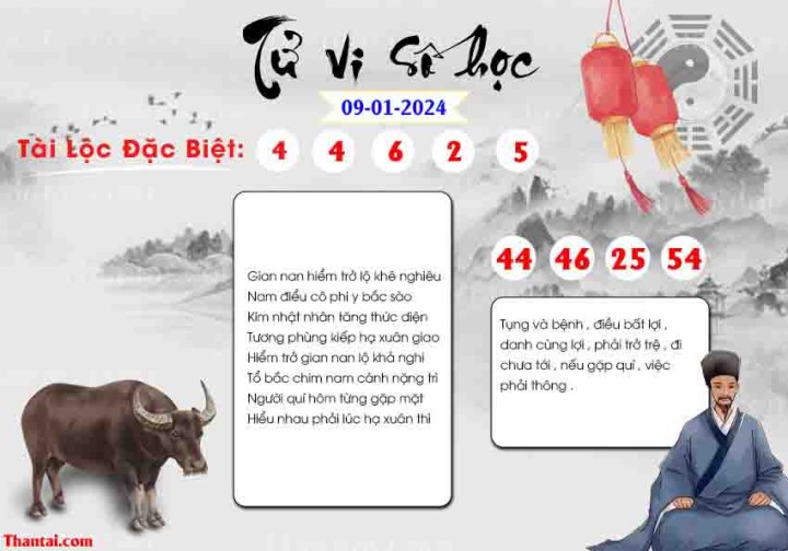 TỬ VI SỐ HỌC 25/12/2023