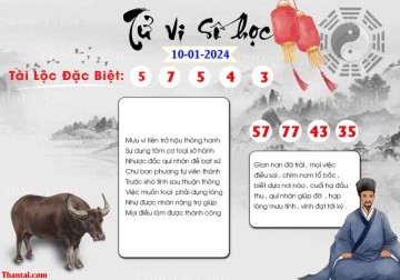 TỬ VI SỐ HỌC 10/01/2024