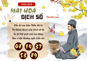 Mai Hoa Dịch Số 10/01/2024