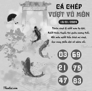 CÁ CHÉP VƯỢT VŨ MÔN 10/01/2024