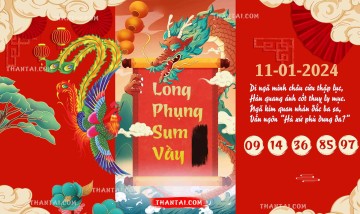 Long Phụng Sum Vầy 11/01/2024