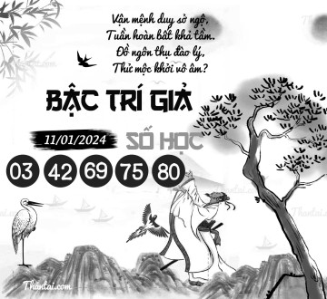 BẬC TRÍ GIẢ SỐ HỌC 11/01/2024