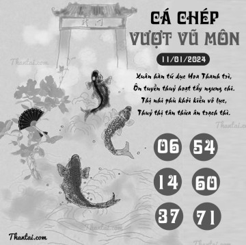 CÁ CHÉP VƯỢT VŨ MÔN 11/01/2024