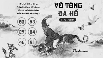 VÕ TÒNG ĐẢ HỔ 11/01/2024