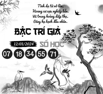 BẬC TRÍ GIẢ SỐ HỌC 12/01/2024