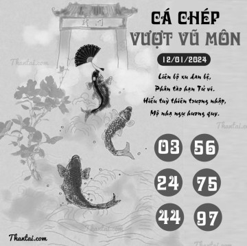 CÁ CHÉP VƯỢT VŨ MÔN 12/01/2024