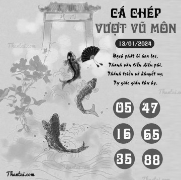 CÁ CHÉP VƯỢT VŨ MÔN 13/01/2024