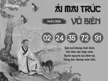 ÁI MAI TRÚC VÔ BIÊN 14/01/2024