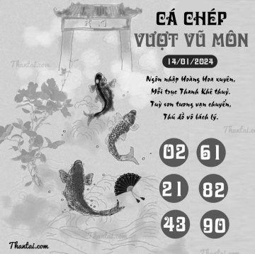 CÁ CHÉP VƯỢT VŨ MÔN 14/01/2024