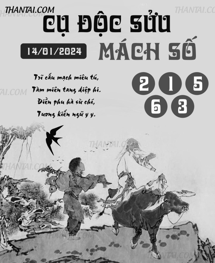 CỤ ĐỘC SỬU MÁCH SỐ 30/12/2023