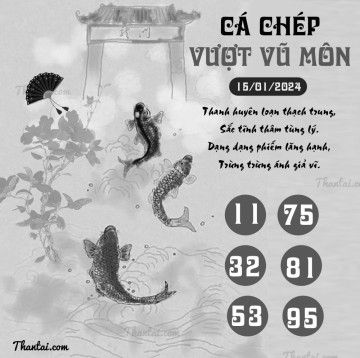 CÁ CHÉP VƯỢT VŨ MÔN 15/01/2024