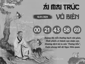 ÁI MAI TRÚC VÔ BIÊN 16/01/2024