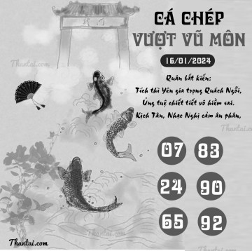 CÁ CHÉP VƯỢT VŨ MÔN 16/01/2024