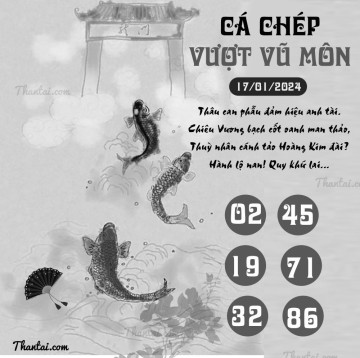 CÁ CHÉP VƯỢT VŨ MÔN 17/01/2024