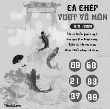 CÁ CHÉP VƯỢT VŨ MÔN 18/01/2024