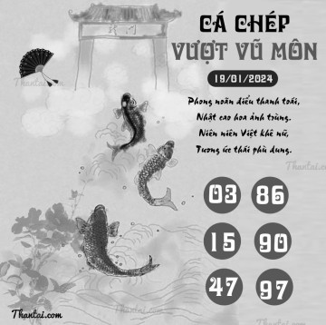 CÁ CHÉP VƯỢT VŨ MÔN 19/01/2024