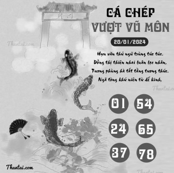 CÁ CHÉP VƯỢT VŨ MÔN 20/01/2024