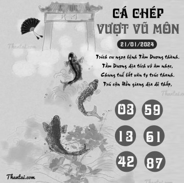 CÁ CHÉP VƯỢT VŨ MÔN 21/01/2024